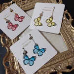 3colors butterfly