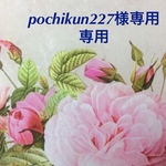 ★pochikun227様専用★