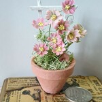 ミニチュアの花…「コスモスのコンテナA」
