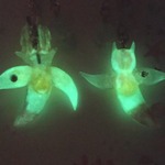 クリネオは天使☆*と悪魔☈/ピアス/蓄光レジン/アクセサリー(14)