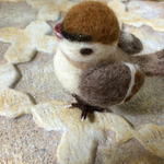 スズメ