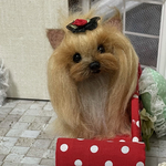 羊毛フェルト　ヨークシャテリア