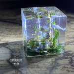 Atlantis(螺旋階段)