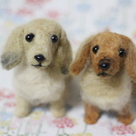 buure123様ご依頼品 ダックスちゃん