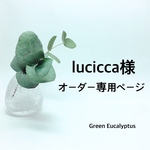 lucicca様オーダー専用ページ