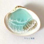 海のアクセサリートレー①