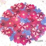 ♡new♡  ♡可愛い押し花セット♡ ♡たくさん入って使いやすい押し花セット♡