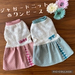 《犬服》ハンドメイド  ワンピース  名前入り