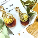 ✨新作レジン✨べっ甲風＋ボタニカル💕ピアス　　レジンイヤリング＊レジンピアス＊    　普段使い　レジンレジンピアス　レジンイヤリング　夏
