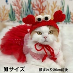 カニのかぶりもの🦀🏖 赤カニ　Mサイズ✨