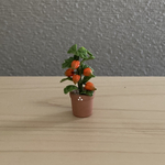 ほおずき　10   ミニミニテラコッタ鉢
