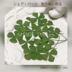 再販×9  四つ葉のクローバー１５枚（ 大 ）　押し花  レジン・キャンドル