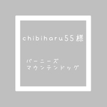 専用出品　犬　バーニーズマウンテンドッグ　ワイヤークラフト　ワイヤーアート