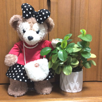 シェリー5点セット
