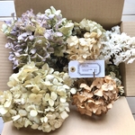 紫陽花ドライフラワー茎なしmix14個セット　U 今季最終アウトレット