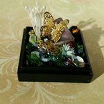 鉱物標本～星光花と蝶～