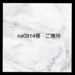  na0914様 ご専用