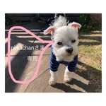 pirkachanさま専用ページ