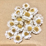 少し訳あり　花かんざし　ドライフラワー　30輪