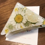 ☆バンスクリップ☆