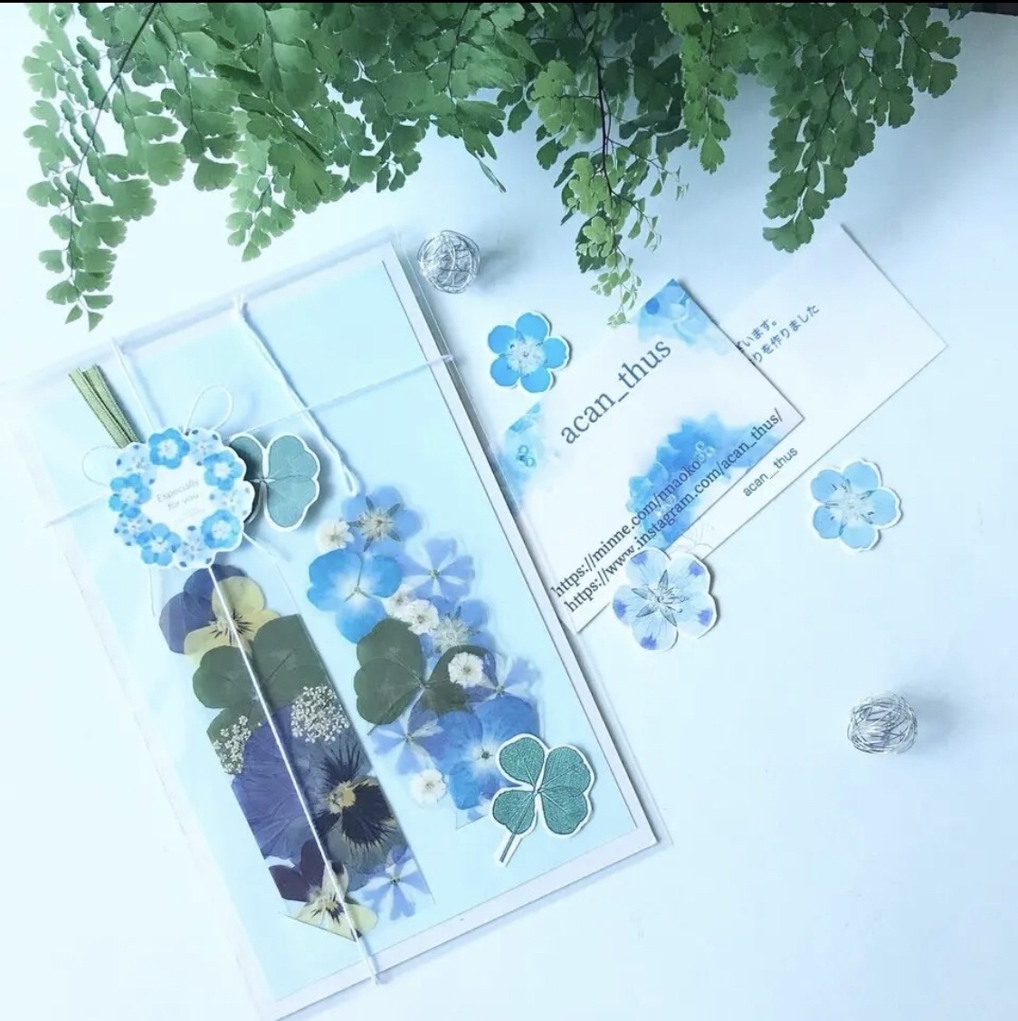 四葉のクローバー🍀入り2枚セット押し花しおり - acan＿thus
