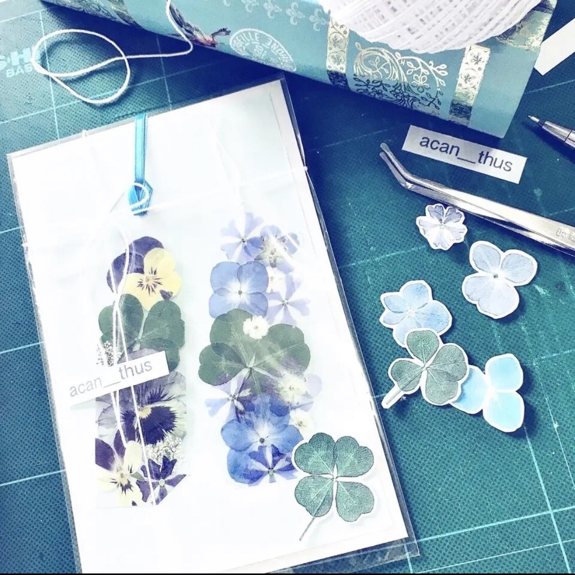 花しおり1,2 セット IU 四葉のクローバー🍀と紫陽花3枚セット押し花しおり - acan＿thus