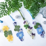  四葉のクローバー🍀入り2枚セット押し花しおり