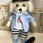 まだ、夏休みマルチーズくん