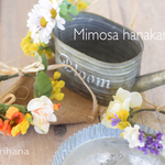 ミモザ・花かんむりワンちゃん用