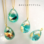 手のひらのアクアリウム