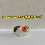専用ページ