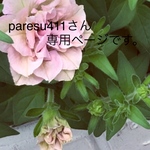 ☆アーティフィシャルフラワーリース☆