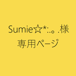 Sumie☆*:.。.様専用ご注文ページ