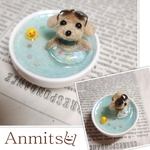 おちゃわんでちゃぷちゃぷ🐾　トイプー　犬　いぬ　わんこ