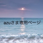 専用ページ