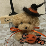 羊毛フェルト　ハロウィンぷ〜ちゃん