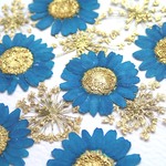 押し花セット＜コバルトブルー　ゴールド＞