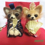 チワワのひな祭り