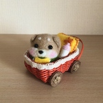 baby柴犬だるま🍼(赤柴)