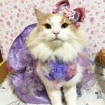 8月15日　21時オープン　スタイとスカート2点セット💜パープル