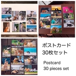 ポストカード３０枚セット　Original Post card 30piece 