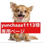 専用ページ