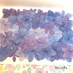 ♡new♡作家様必見♡ 人気の紫陽花MIXセット♡押し花セット