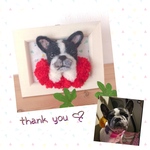momohaha…様専用♡額縁わんこ『うちの子オーダー』(mii wool&wool)