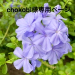 chokobi様オーダー（キッチンマット　トイレマット等）
