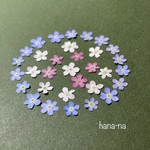 再販🔷3色の忘れな草  ＊ 押し花