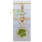 5つ葉のクローバー    キーホルダー　