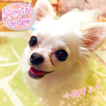 shiopig様オーダーページ♡