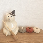 かぼちゃ🎃Ｓ
