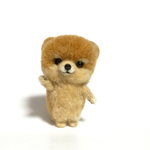 ちびっこポメラニアン☆ショートカットチビ丸